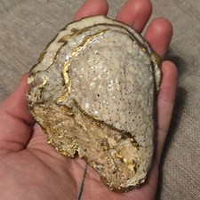 Ciondolo vintage oro dorato guscio di ostrica cabochon 4" cerniera bianca adduttore intatto USA