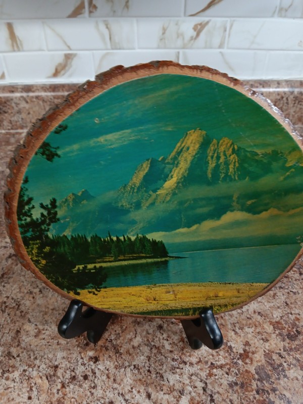 Vintage RUSTIC FOLK ART Jackson Hole Wyoming Wall Hanging Art Decoupage