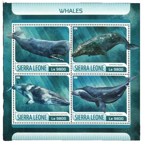 Prophila Collection Tanzania 1583-1589 (version complète) Frais postaux ** MNH 1993 Requins (timbres pour collectionneurs) Animaux aquatiques