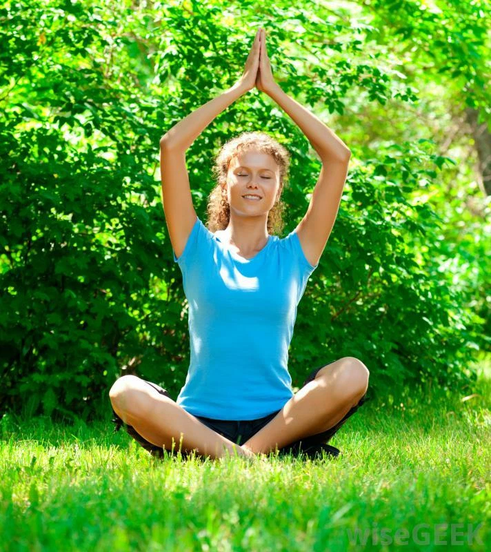 肾上腺疲劳补充剂 - ADRENAL 支持 - 帕纳克斯人参根提取物 2B — 第 4/4 张图片