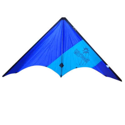 Kite PM MODEL Art. 540-AQUI Energy Mit Dacron Spannweite 190cm H.80cm