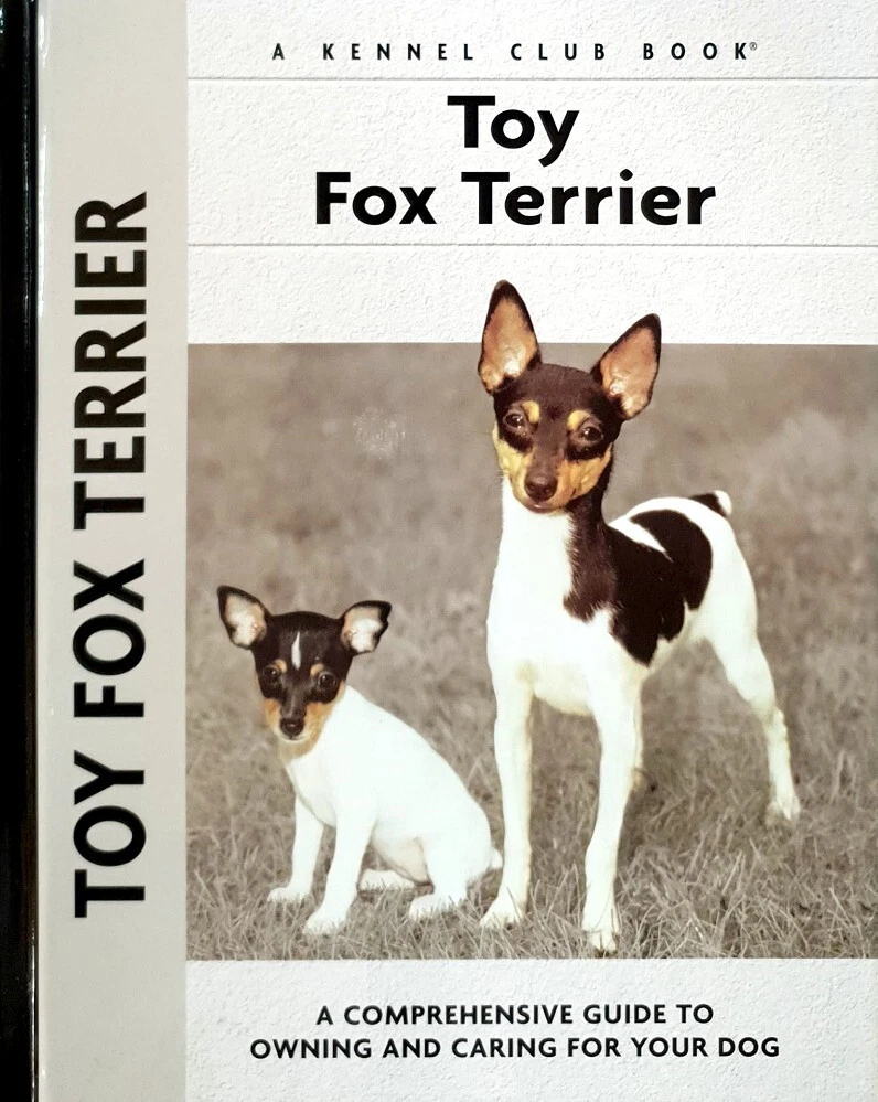Toy fox terrier kennel sale