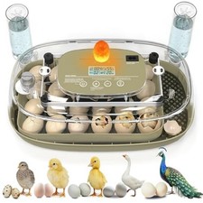 Incubadora De Huevos Automatica Para Huevos D...