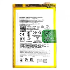 Batterie Interne BLPA17 Compatible pour Realme C53/C65/C67/12 5G/12X 5G