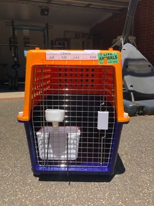 pp40 pet carrier