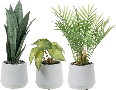 Artificial Plants Potted in White Textured Planter Pot, Tabletop Plant, Set of 3