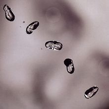 Up von Gabriel,Peter | CD | Zustand sehr gut