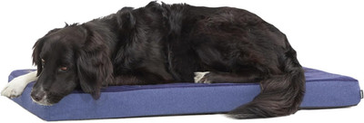 Orthopedic Dog Bed with Memory Foam, Premium Comfort for Dogs and Puppies, Dog B