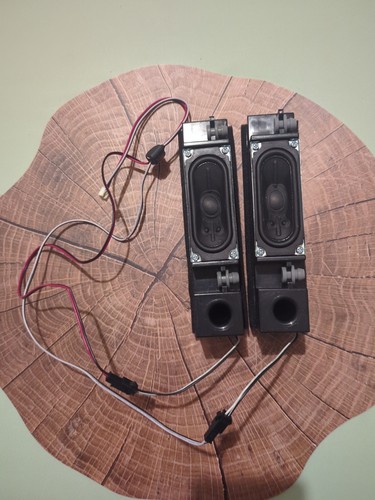 Lautsprecher vom Fernseher Philips schwarz 2 Stück