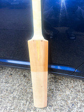 Plan Cricket Bat English willow Short Handle with White Grip