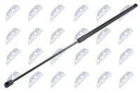 NTY AE-FT-042 Gasdruckfeder FüR Kofferraum/Ladebereich FüR Chrysler, Lancia