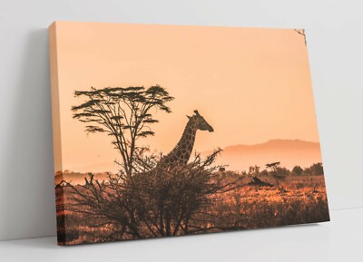 GIRAFFE SAFARI SUNSET -CANVAS WALL ART PRINT ARTWORK ANIMAL FRAMED ...