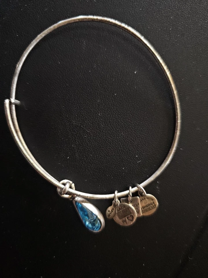 Brazalete Brazalete Alex and Ani Living Water Plata Dije en Caja Original Foto 2 de 3