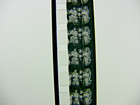 Regular 8MM FILM Broken Blossoms 1919 Soundtrack, Lillian Gish, Donald Crisp — photo 5