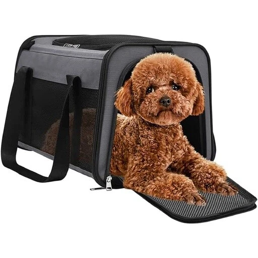 Carry on cheap dog size