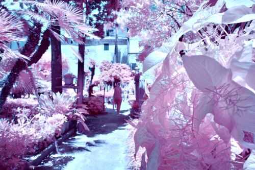 Candy Chrome, Infrared Filter, to fit 52mm Lens, See Video, Full Spectrum camera - Picture 5 of 11