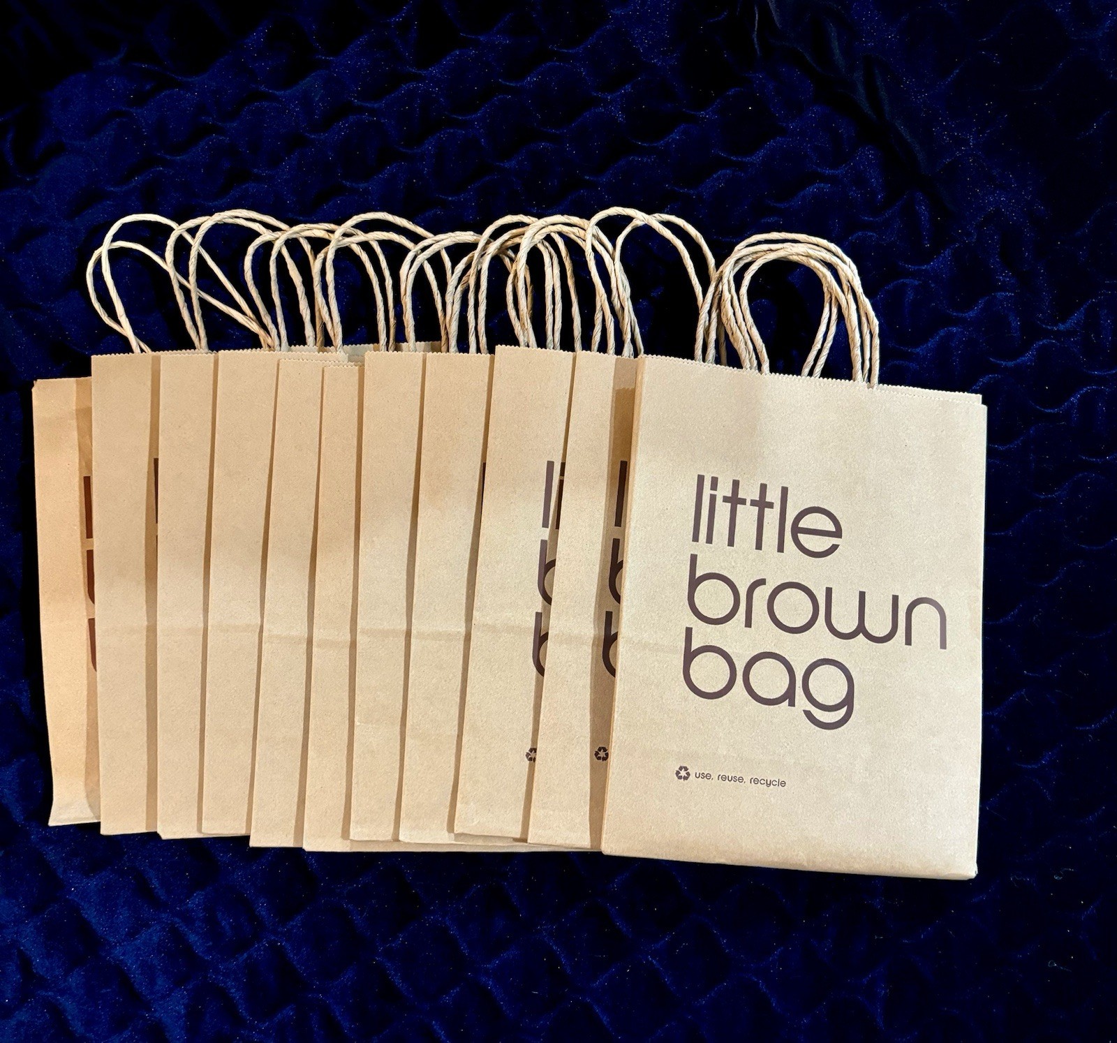 New Lot Of 3 BLOOMINGDALE'S Little Brown Tote SHOPPING Paper GIFT BAGs W/Tissue