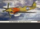 P-40N Warhawk 502nd Fighter Squadron Hasegawa 1/32