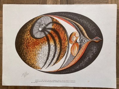 Lithography by Rimer Cardillo 1969 - Club de Grabado de Montevideo