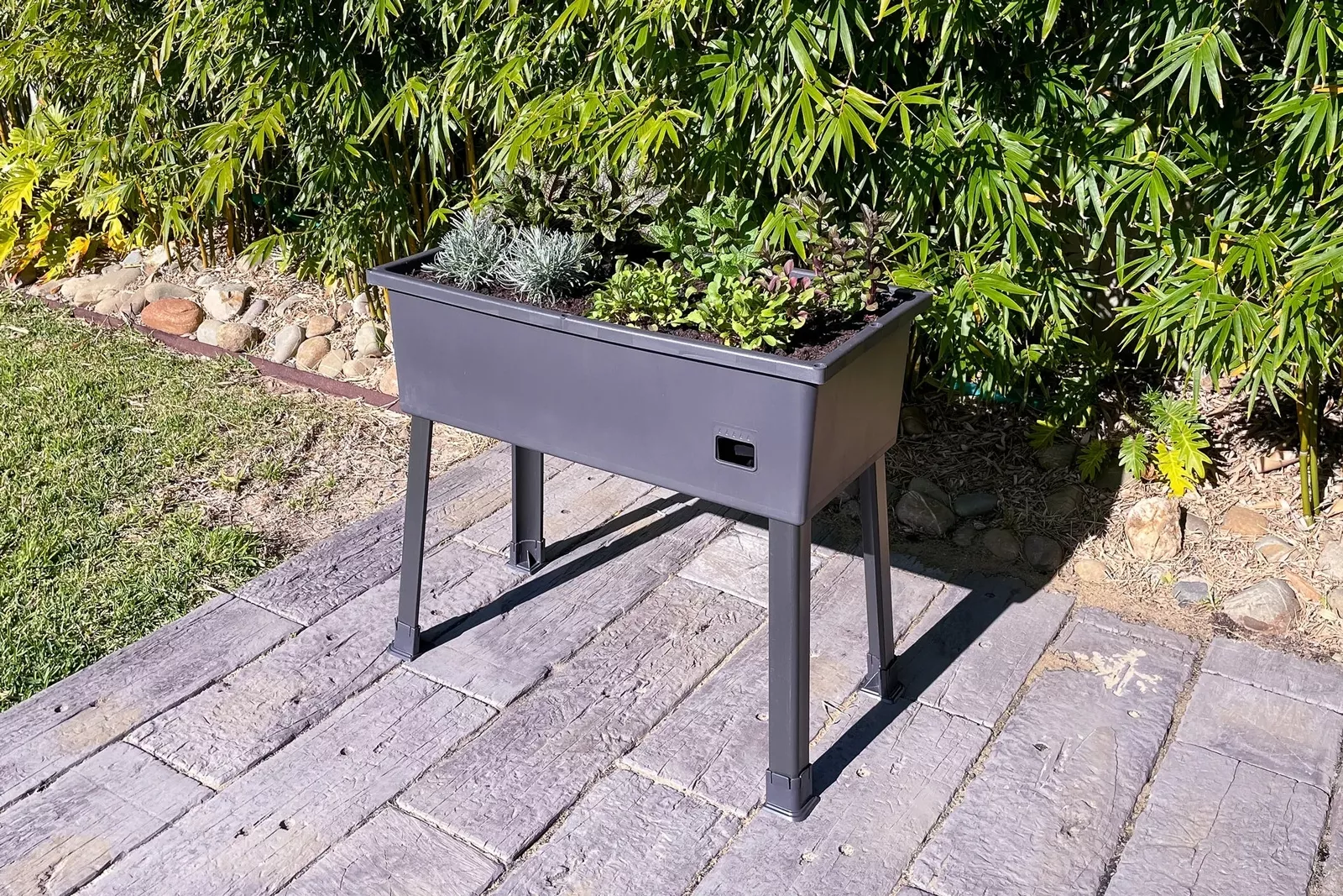 Picture 8 of 10
