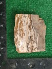 Rough Slab Banded Jasper 138g. 5/16" Thick Lapidary Cabbing #B-2 — photo 5