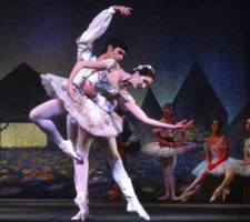 dancers of the Ballet Royal du Waloonie perform in an unspecified - Old Photo 3
