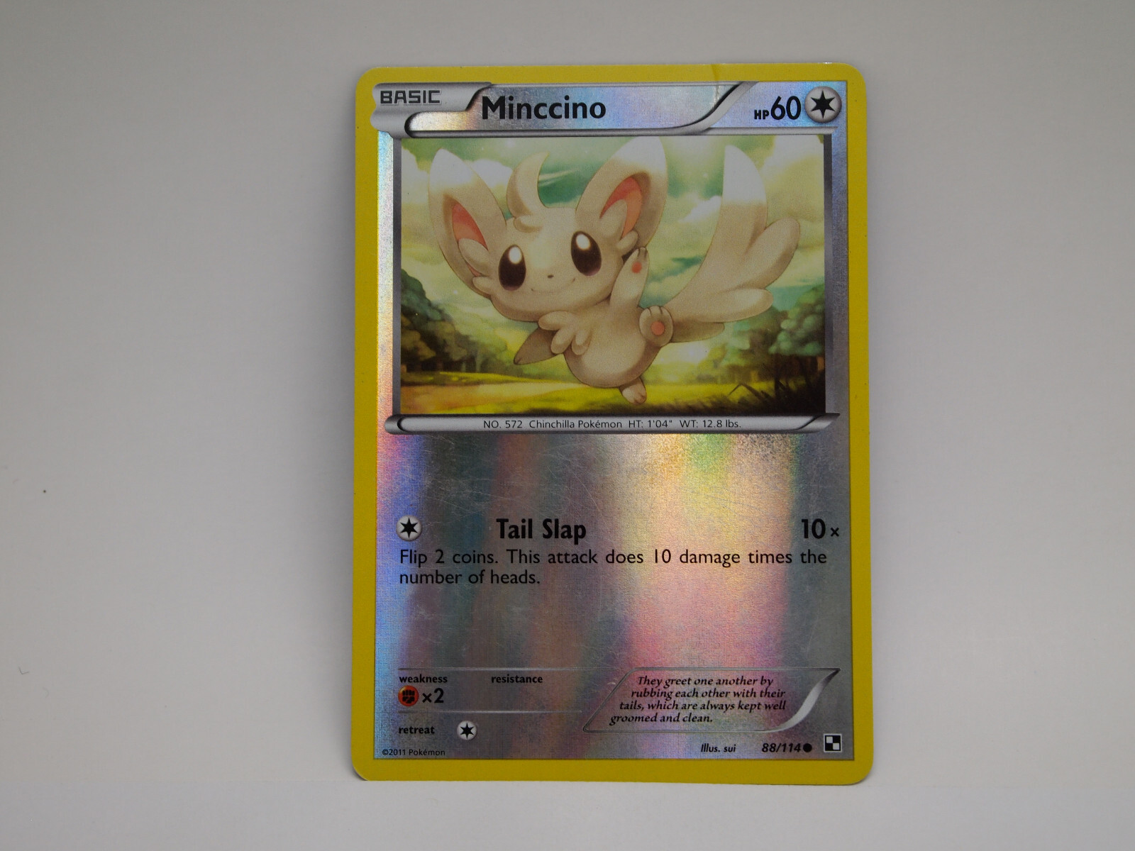 Minccino 88/114 | BW - Black & White | REVERSE HOLO | Pokemon TCG LP