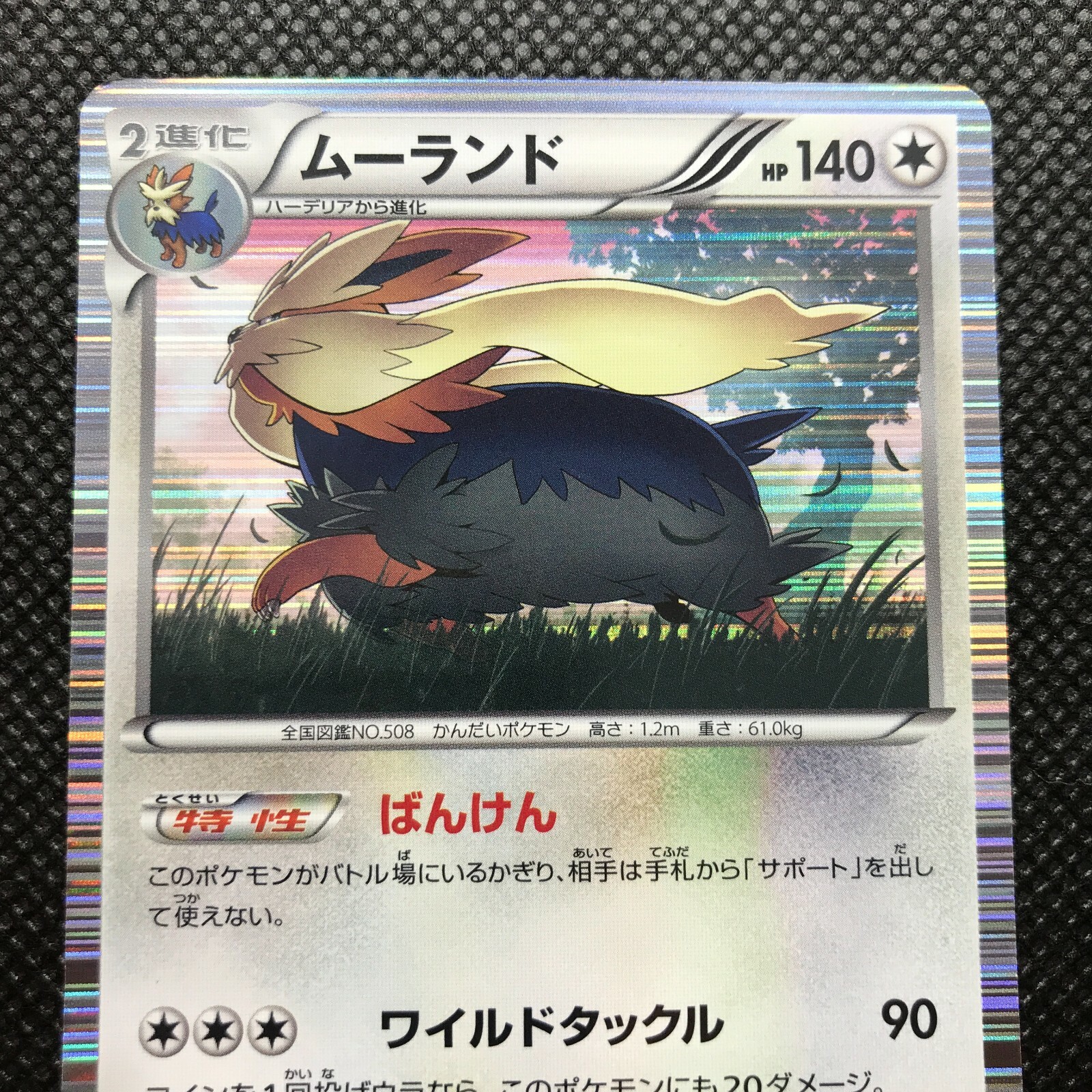 Stoutland Pokemon Card Game Japan Anime Very Rare Pocket Monster Bandai F S Ebay