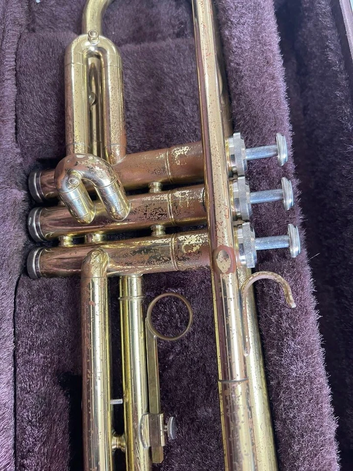 YAMAHA YTR-2310 Tromba Oro Strumento musicale Modello principiante articolo u... - Immagine 2 di 4