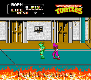 teenage mutant ninja turtles nes