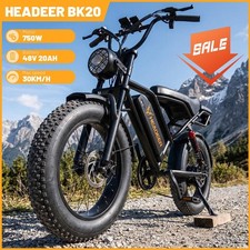 250W Fat Tire E-Bike 48V 20Ah Elektrofahrrad 20'' 50 Miles Reichweite 150kg