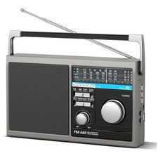 Portable Gray Radio, Big Speaker, Bluetooth Connectivity
