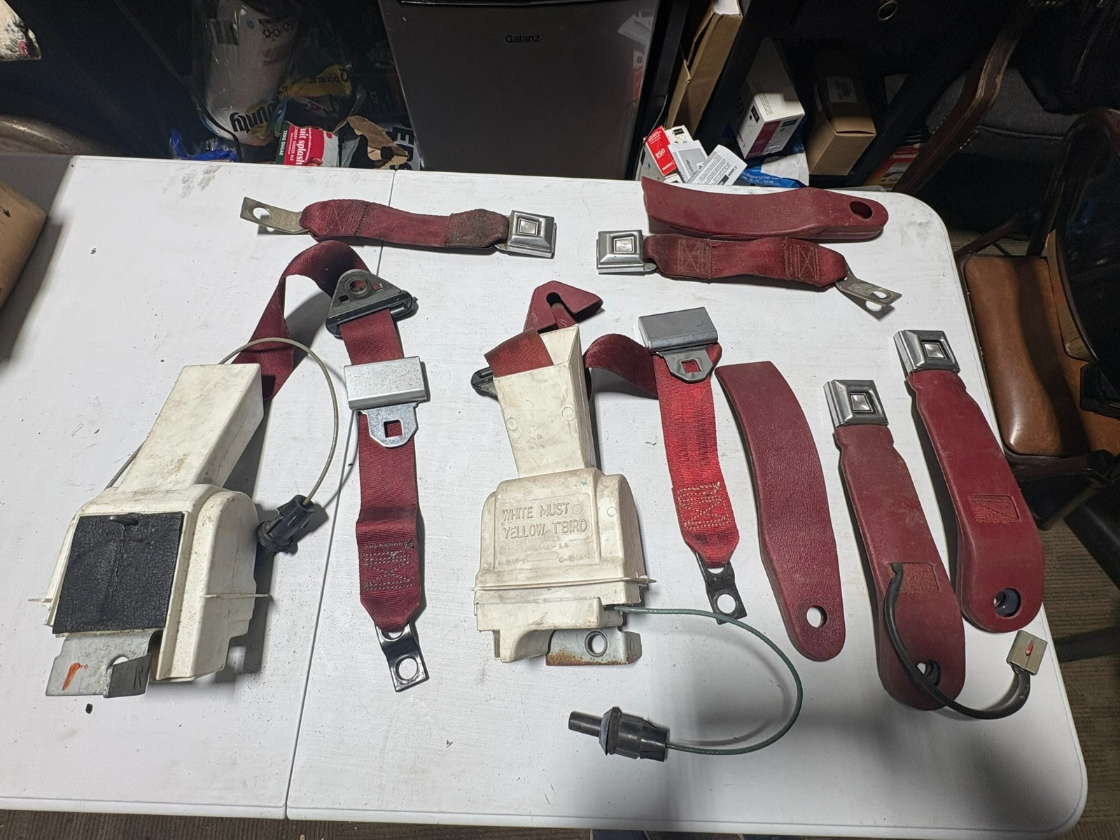 Ford GT 1983-1984 Seat belt Red