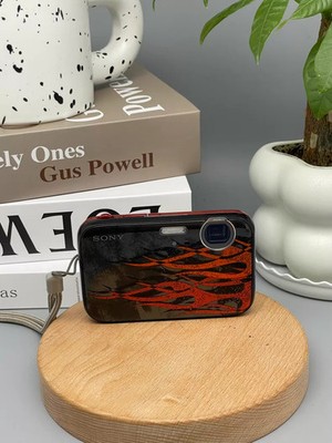 Sony Cyber-shot DSC-J20 16.1MP Digital Camera English Flame Special Edition