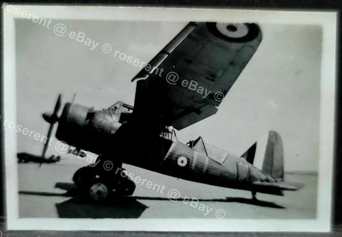 WW2 Egypt - RAF Westland Lysander L4675 ? - small  photo 7 by 4.5cm