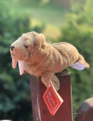 Russ Yomiko Walrus Soft Toy 18cm New Plush Animal