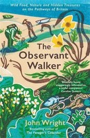 The Observant Walker | John Wright | Taschenbuch | Kartoniert / Broschiert