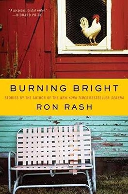 Burning Bright: Stories - Hardcover, by Rash Ron - Very Good b
