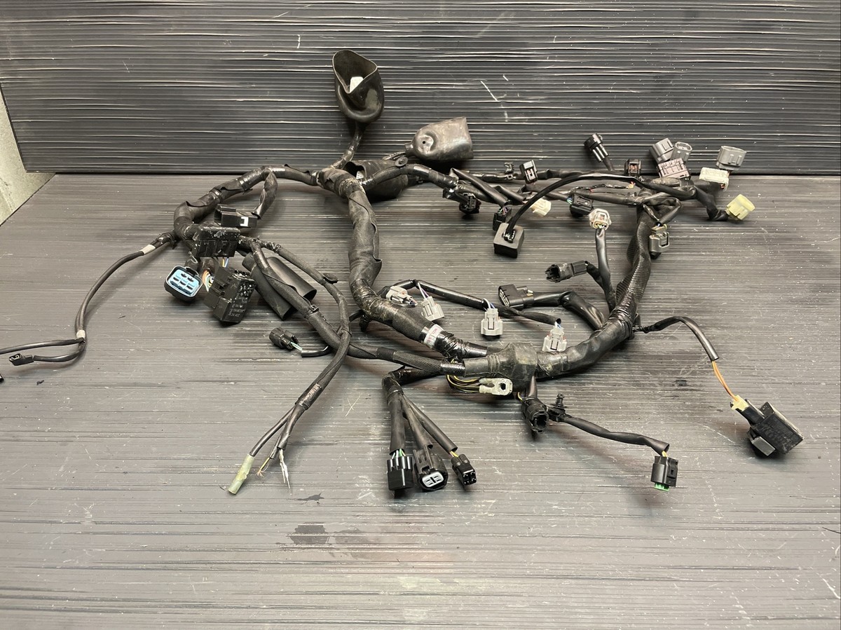 2019 Kawasaki Ninja ZX6R, Wire harness, main electrical harness