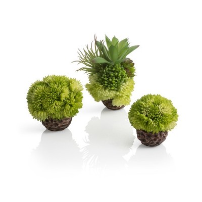Oase biOrb Korallenball Set grün