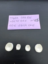 4 TIGER SHARK vertebrae from Maldives
