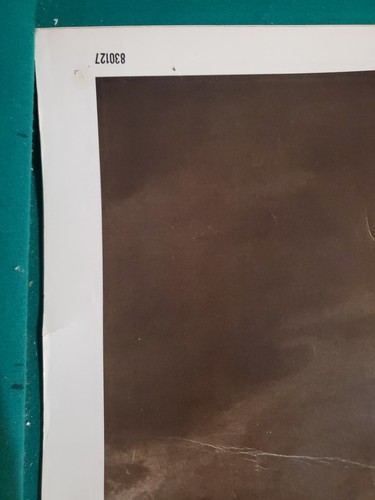 "Póster de película original ""Cujo"" 40x60 (1983) terror/thriller de Stephen King" - Imagen 5 de 14
