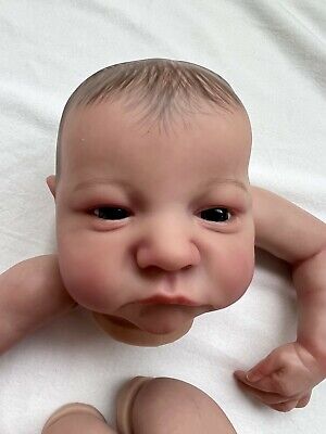 Reborn Baby Doll Kit Already Painted DIY Mold (Head+Limbs+Cloth Body) 18''-  19