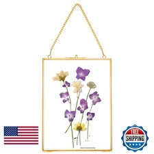 REDHUGO Hanging Pressed Flower Frames, Double Glass, Gold, 6x8 Inches