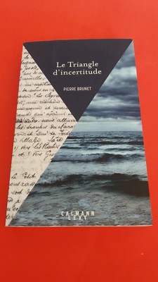 Das Dreieck der Unsicherheit - Pierre Brunet - Calmann Levy