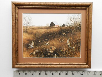 Maynard Reece AFTERNOON SHADOWS-BOBWHITES 8x10 framed 2.1 115