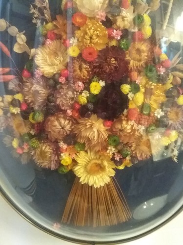 De colección Cideart Bélgica Flores de Paja Marco Cúpula X Gran Exhibición Decoración de Pared Arte - Imagen 10 de 10