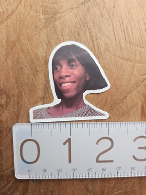 PARKLYN Sticker Funny Sticker Funny Decal Meme Sticker Meme Parker Kit Hill