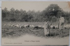 CPA 40 - Echassier et berger Landais. F. Bernède, phot., Arjuzanx 