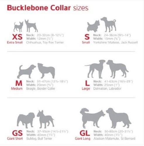 RED DINGO BUMBLEBEE COLLAR & LEADS - Picture 7 of 11